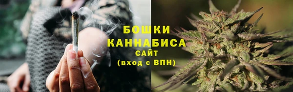 гашик Няндома