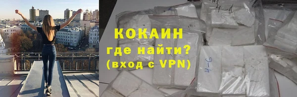 гашик Няндома