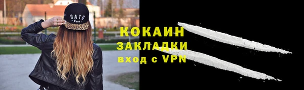 гашик Няндома