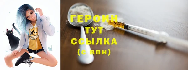 гашик Няндома