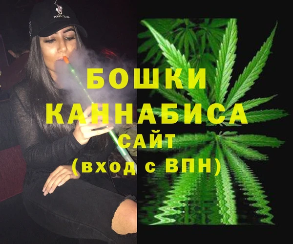 сатива Нязепетровск