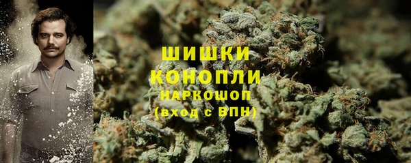 гашик Няндома