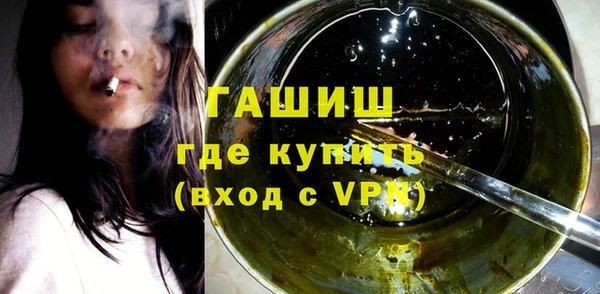 гашик Няндома
