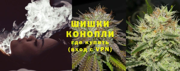 сатива Нязепетровск