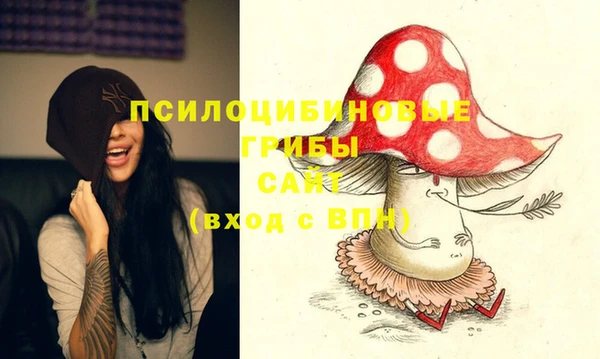 гашик Няндома