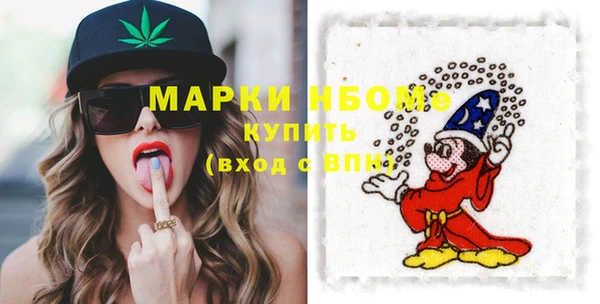 гашик Няндома