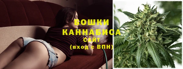 гашик Няндома