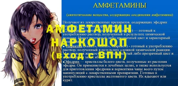 гашик Няндома