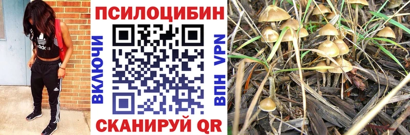 Псилоцибиновые грибы прущие грибы  Кулебаки 