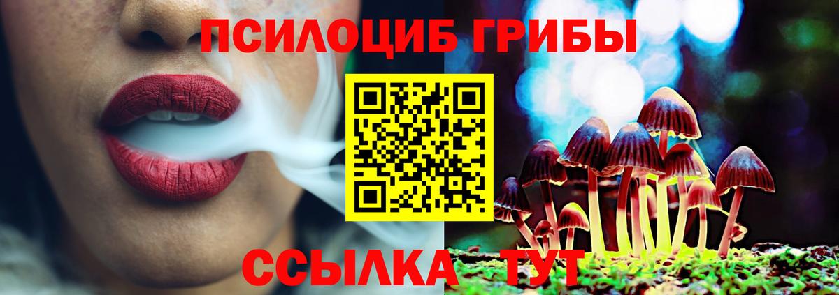 Галлюциногенные грибы мухоморы Кулебаки