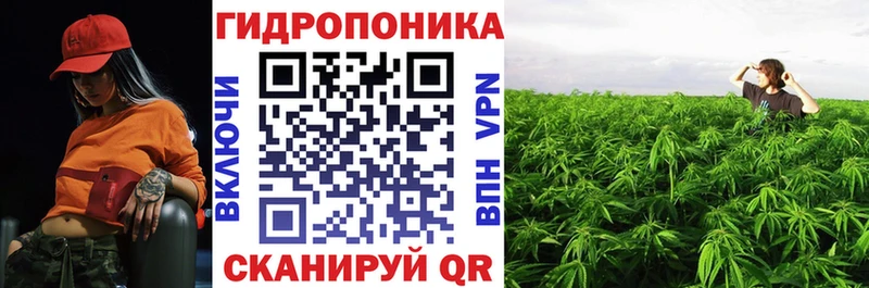 мориарти клад  Кулебаки  Бошки Шишки White Widow 